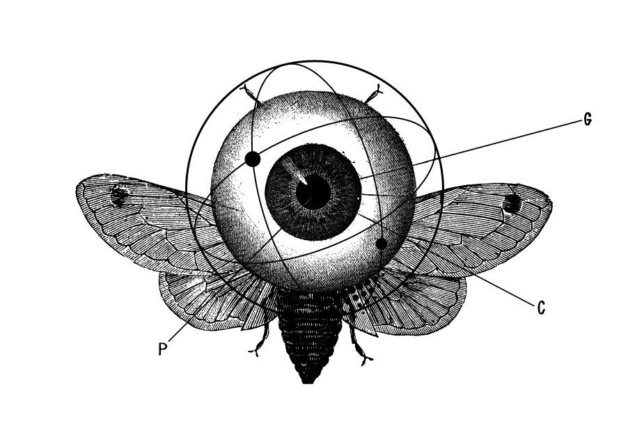 Large human eye fused with a moth and scientific orbital diagrams