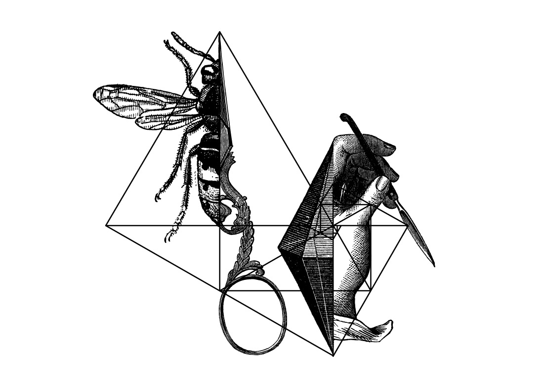 Bee, hand with surgical blade and magnifying glass intersecting geometric diamond lines