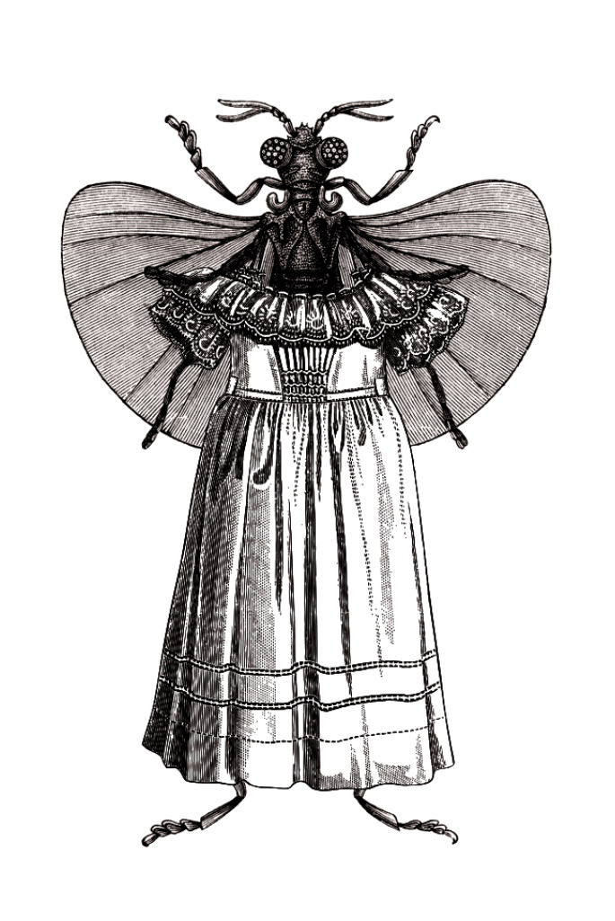 Large winged insect wearing an ornate Victorian dress