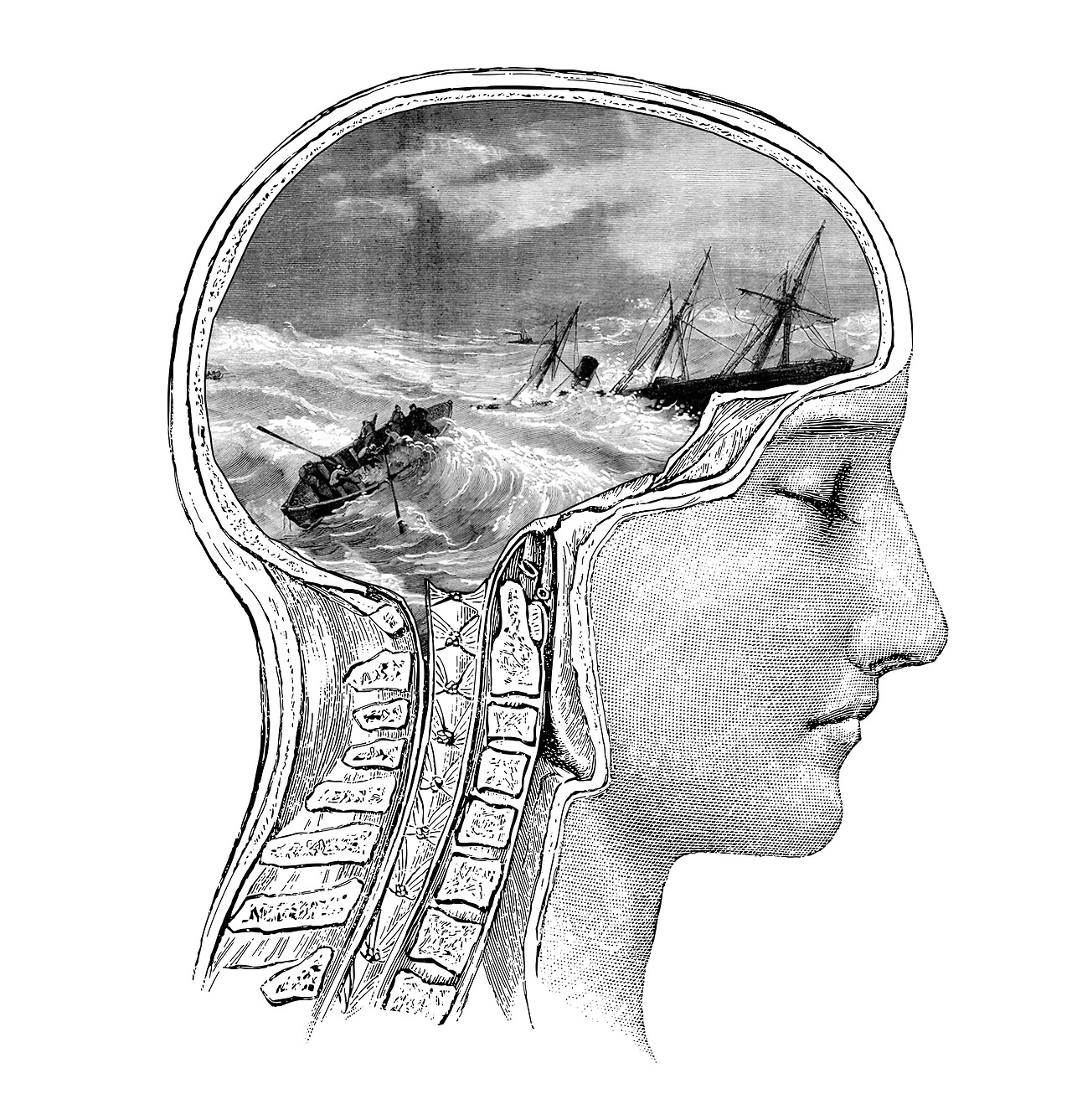 Anatomical profile of a human head containing a shipwreck in a stormy sea