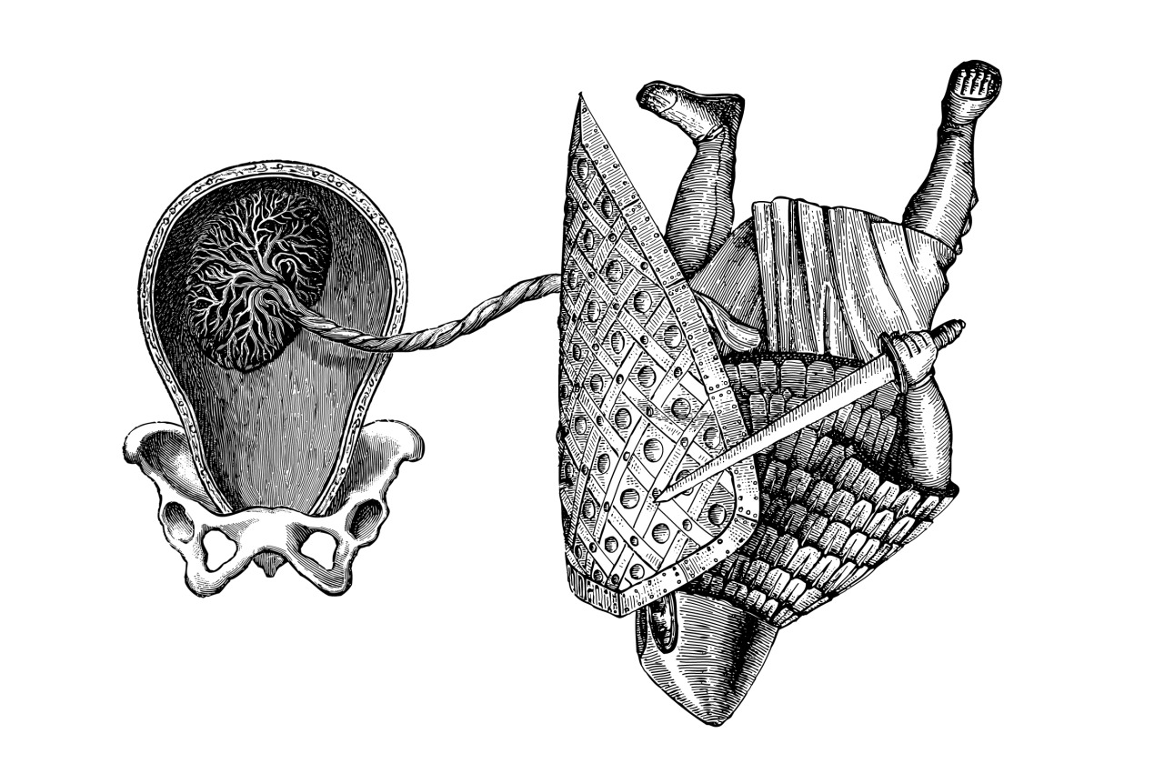 Anatomical womb connected by an umbilical cord to a falling medieval figure
