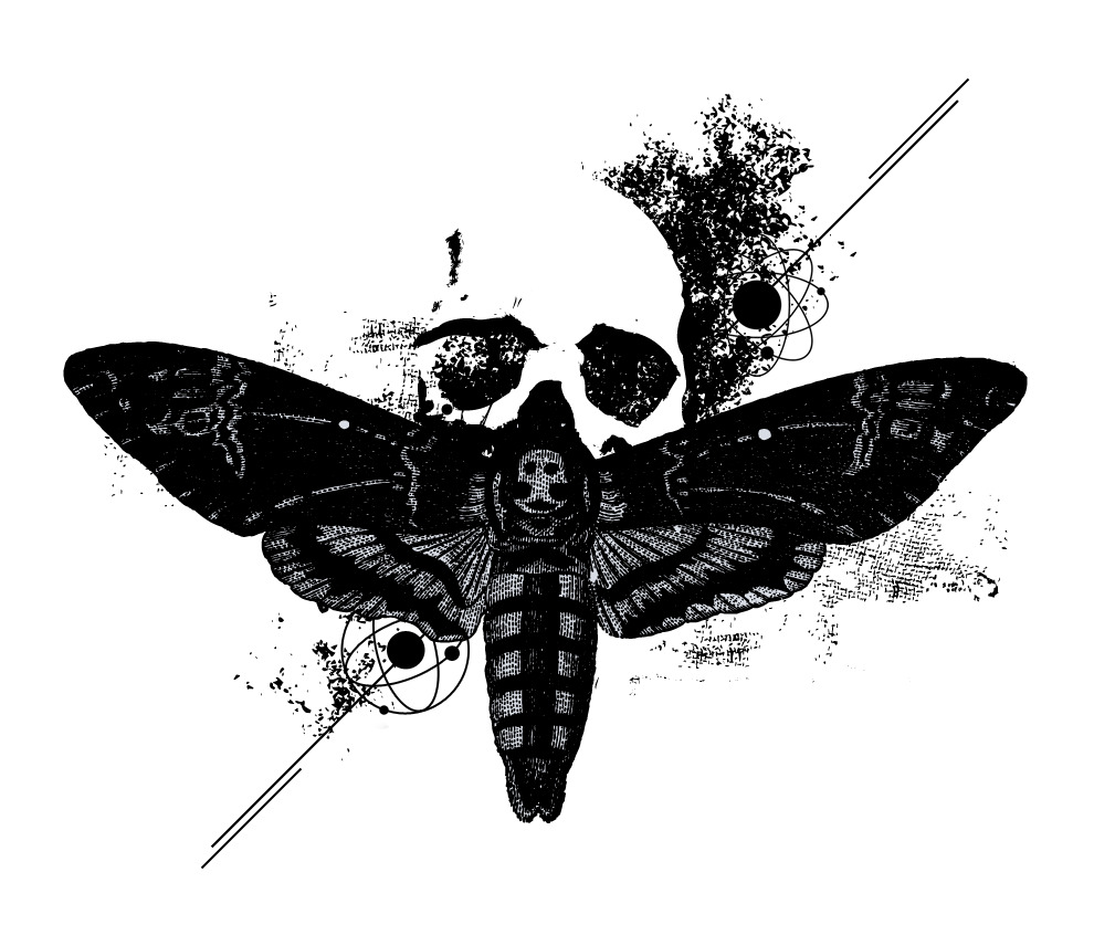 Death's-head moth merging with a human skull, ink textures and orbital diagrams