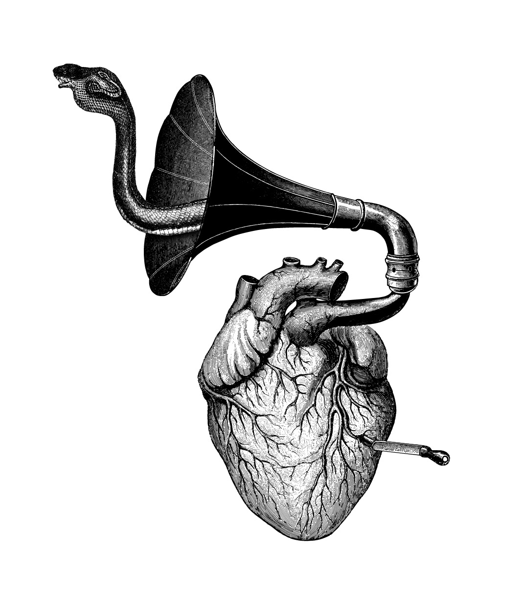 Anatomical heart connected to a gramophone horn from which a cobra emerges