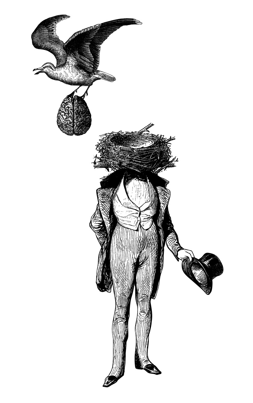 Bird stealing a human brain above a headless Victorian man with a nest for a head